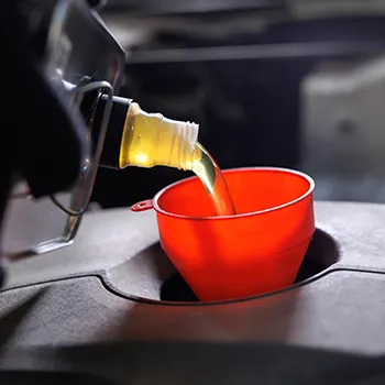 Oil Changes & Maintenance in Shreveport, LA in Shreveport, LA